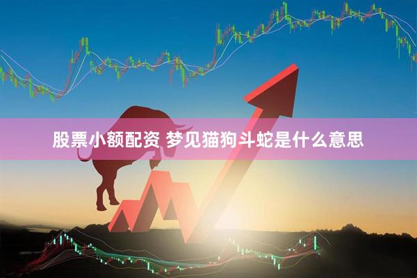 股票小额配资 梦见猫狗斗蛇是什么意思